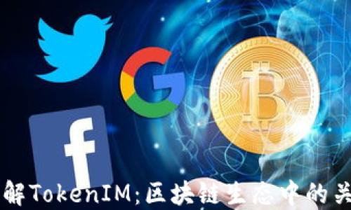 深入理解TokenIM:区块链生态中的关键角色