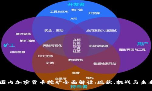 国内加密货币挖矿全面解读:现状、挑战与未来
