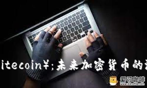 怀特币(Whitecoin):未来加密货币的潜力与挑战