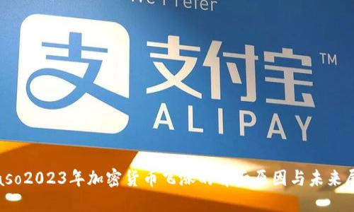 biaso2023年加密货币飞涨的背后原因与未来展望