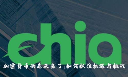 加密货币的春天来了:如何抓住机遇与挑战