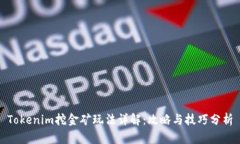 Tokenim挖金矿玩法详解:攻略与技巧分析