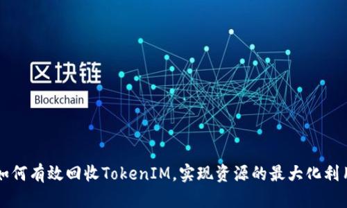 如何有效回收TokenIM,实现资源的最大化利用