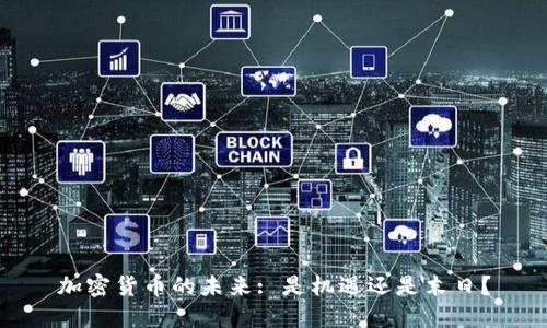 加密货币的未来: 是机遇还是末日？