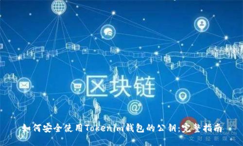 如何安全使用Tokenim钱包的公钥:完整指南
